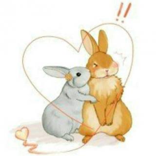 【甜】小兔子和大兔子的故事🐰②