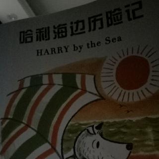 凡哥的《哈利海边历险记》