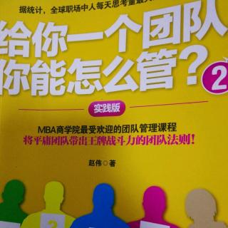 《给你个团队能怎么管》奖惩与激励可以这样~成就欲是最大激励下