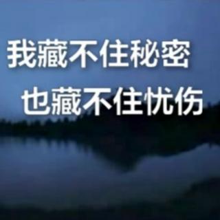 我藏不住秘密，也藏不住忧伤