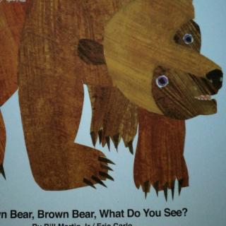 brown bear