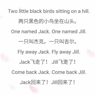 手鼓版《Two little black birds》