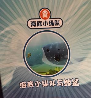 海底小纵队与鲸鲨