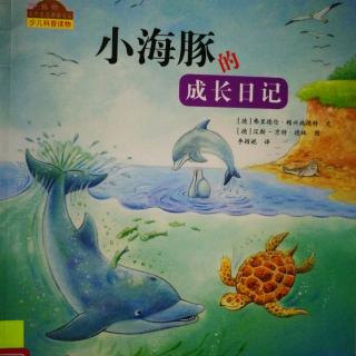 小海豚成长日子