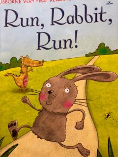 Run，Rabbit，Run！