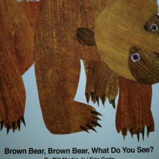 brown bear读