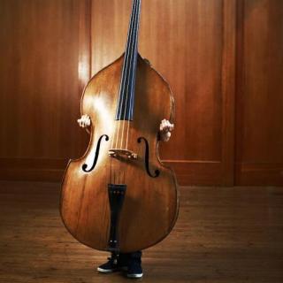【趣谈】 低音提琴 | 优美的大个子