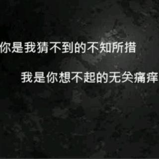 情不知所起，一往而深