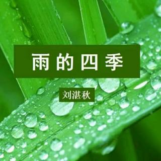 《雨的四季》文/刘湛秋  诵/倾心静听