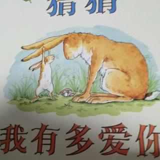 《猜猜我有多爱你》