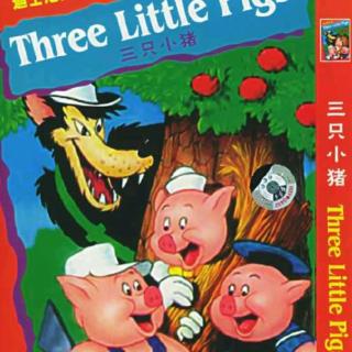 满意妈妈讲绘本故事第三期《三只小猪🐷盖房子》