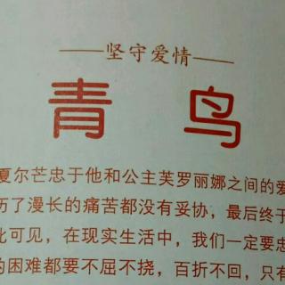 睡前故事《青鸟》