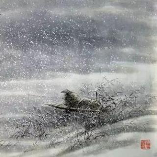 「雪莹睡前诗」江雪