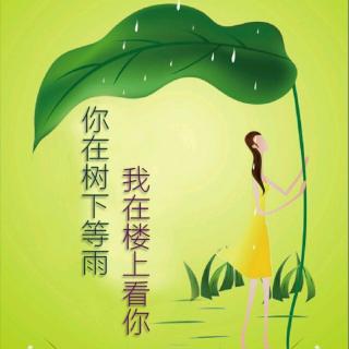 你在樹下等雨，我在樓上看你