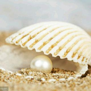 如果有来世，我愿做一个海蚌，你做沙