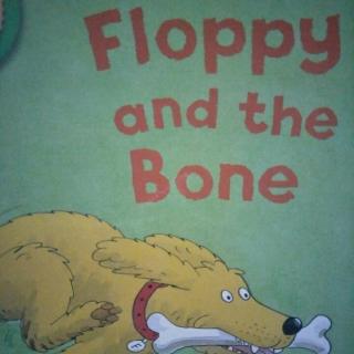 Lesson60 Floppy and the Bone（牛津阅读树第三阶）