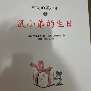 可爱的鼠小弟7鼠小弟的生日