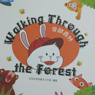 20180119walking through the forest_宝玩