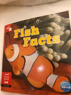 fish fact