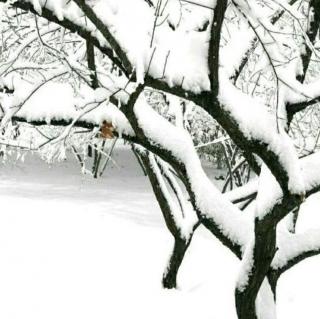 《下雪了》薛嘉怡
