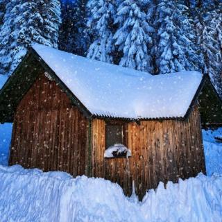 林清玄  《煮雪》