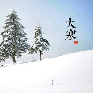 《大寒情思》【文/木子阿龙●诵/一生有悔】