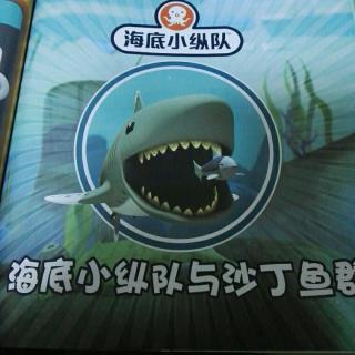 海底小纵队与沙丁鱼群