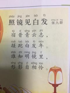 《照镜见白发》张九龄