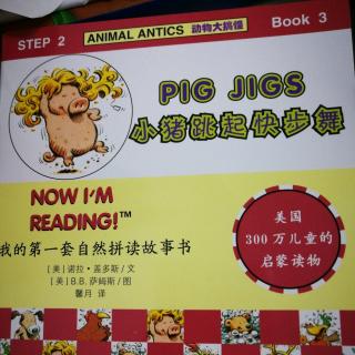 87.Pig Jigs