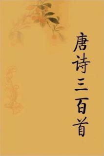 唐诗三百首003《下终南山过斛斯山人宿置酒 》李白