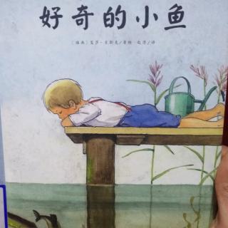 《好奇的小鱼》