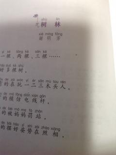 《同步阅读》树林