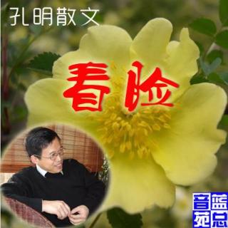 孔明散文《看脸》蓝总播音