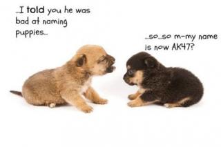 Pet Names (daily joke 180123)