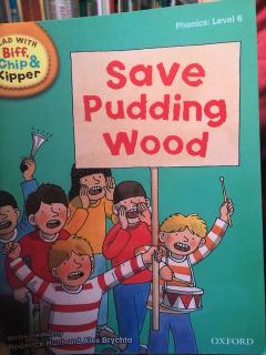 save pudding wood