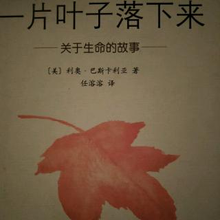 《一片叶子落下来》