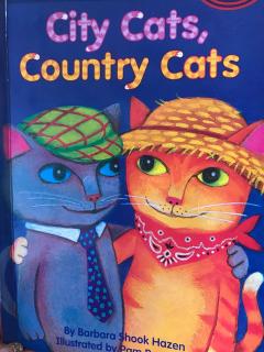 City Cats，Country  Cats