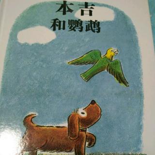 本吉🐕🐕和鹦鹉🐦🐦