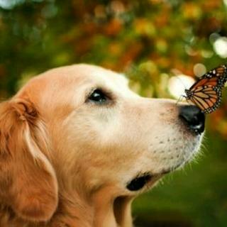 让我留在你身边你好我是梅茜