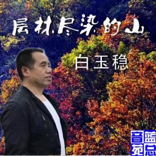 白玉稳《层林尽染的山》蓝总播音