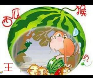 《猴王吃西瓜🍉》