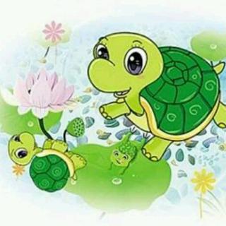 《乌龟妈妈和小鳄鱼》