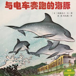 与电车赛跑的海豚