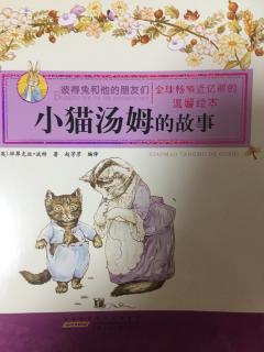 小猫汤姆的故事