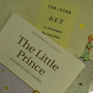 《The Little Prince》