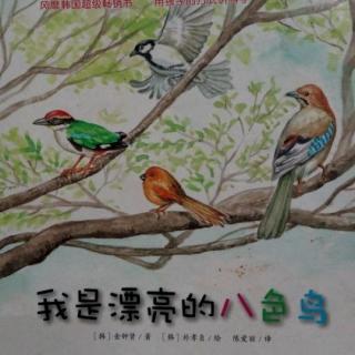蒲公英科学绘本系列：我是漂亮的八色鸟