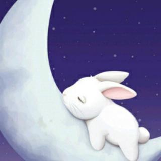 【小博士幼儿园睡前故事第十八期】_《小白兔的噩梦》