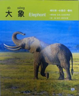 《我来看世界，时间的真奇妙》之〈动物〉大象🐘