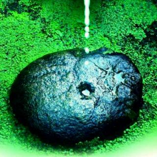 第84夜·滴水穿石