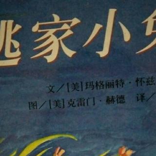 与小宝讲《逃家小兔》